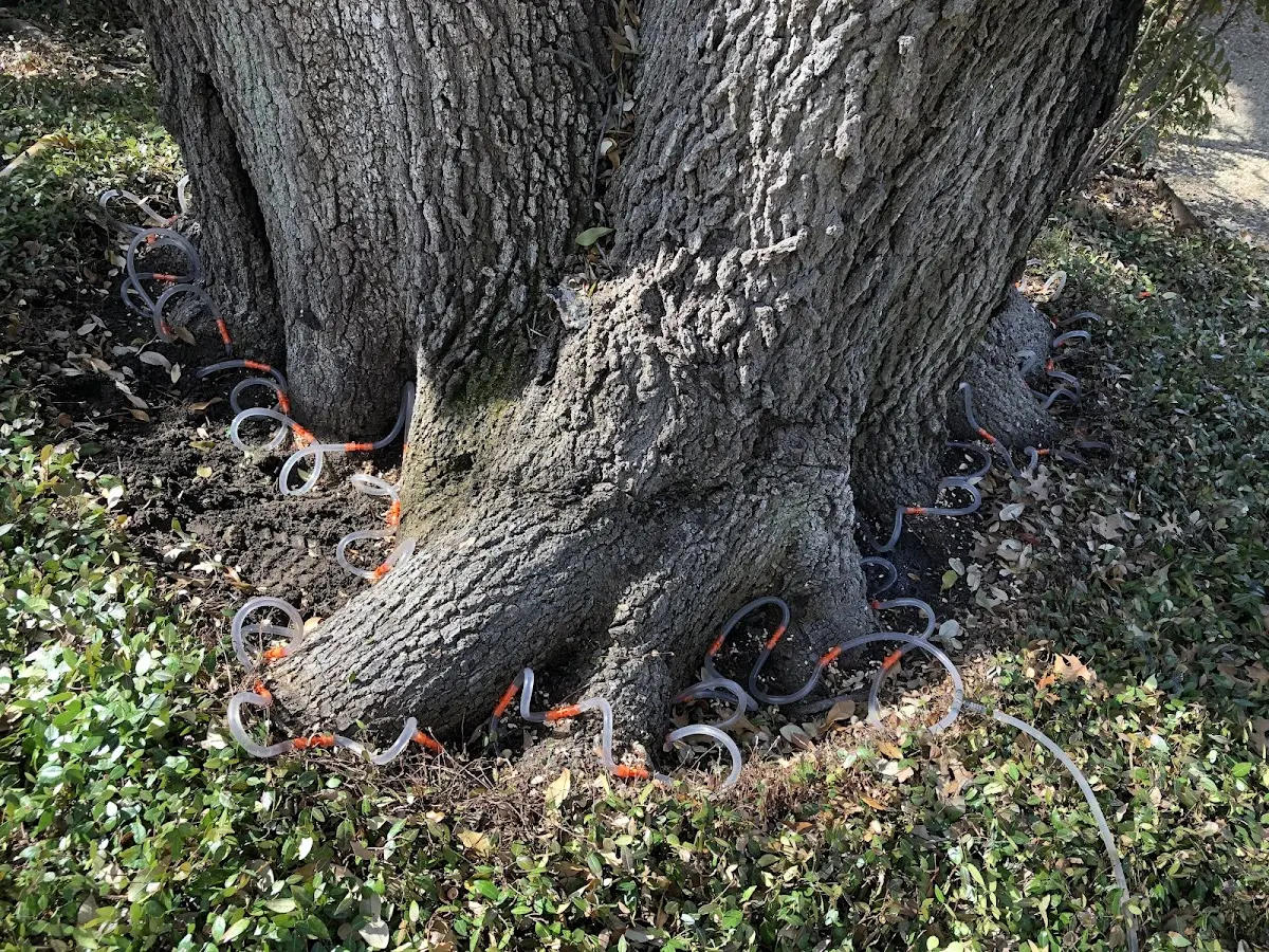 Detailed Shrub and Hedge Trimming job site in Fall Creek