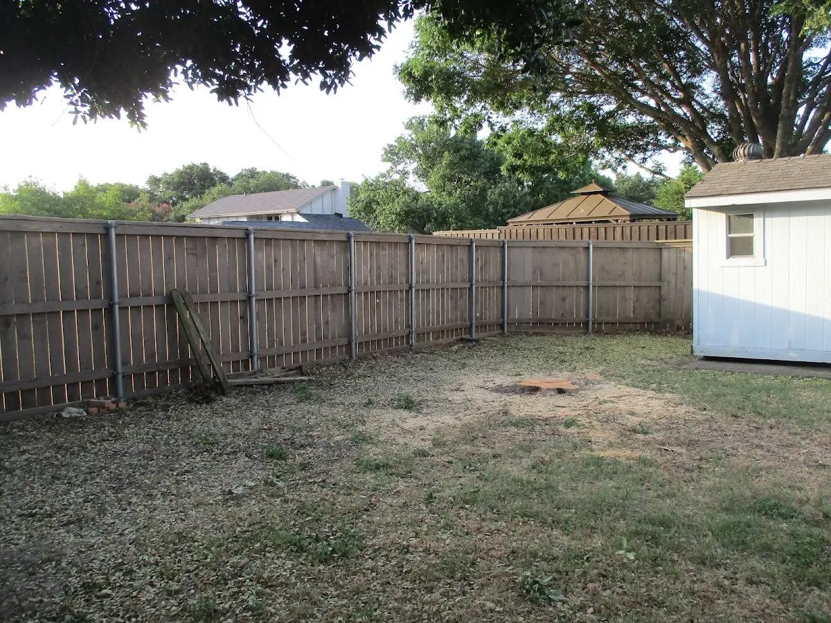 Cleared yard after professional tree removal in Fall Creek
